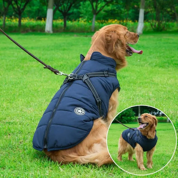 Waterproof Dog Jacket With Harness Pet Essentials-8